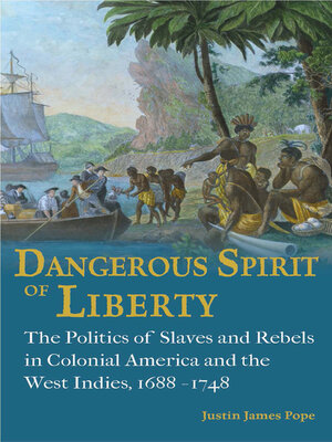 cover image of Dangerous Spirit of Liberty
